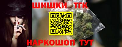 амф Кингисепп
