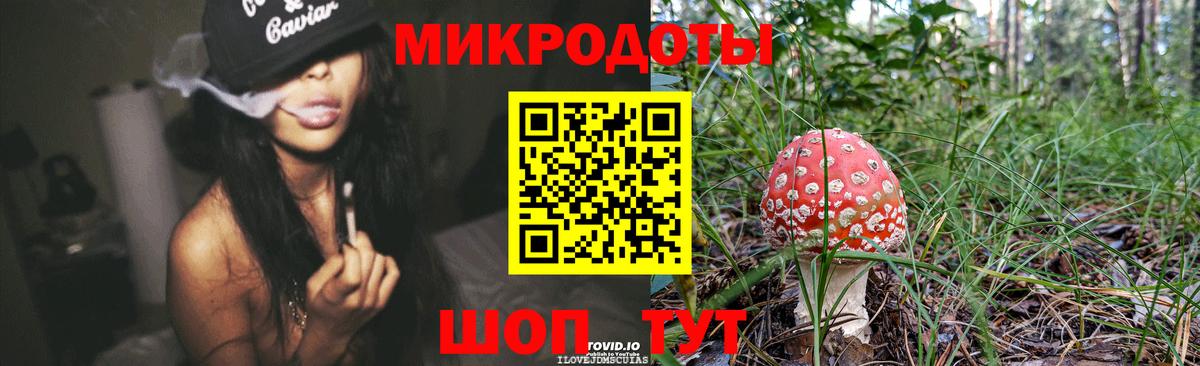 Псилоцибиновые грибы GOLDEN TEACHER Карталы